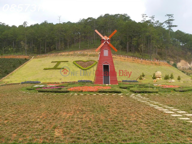 Property Search Vietnam | OneDay | Residential, Sales Listings GOLDEN OPPORTUNITY – PARTNERSHIP - TRANSFER OF A AGRICULTURAL TOURISM PROJECT IN LANGBIANG WARD, DA LAT