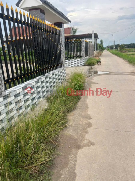 Property Search Vietnam | OneDay | Residential Sales Listings | BEAUTIFUL LAND - GOOD PRICE - URGENTLY SELLING A PLOT OF POTENTIAL LAND IN BINH Thanh COMMUNE, Duc Hue, Long An