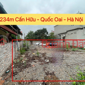 CHÍNH CHỦ BÁN LÔ ĐẤT ĐẸP 234M TẠI CẤN HỮU-QUỐC OAI-HÀ NỘI CHÍNH CHỦ BÁN LÔ ĐẤT ĐẸP 234M TẠI CẤN HỮU-QUỐC OAI-HÀ NỘI _0