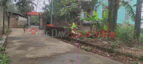 FOR SALE: BEAUTIFUL PLOT OF LAND - GREAT PRICE - Prime location in Mai Xa village, Gia Thuy commune, Nho Quan district, Ninh Binh province. _0