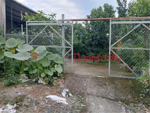 URGENT SALE OF Land By Owner - Preferential Price - Beautiful Location In Hamlet 2, Phu Lap Commune, Tan Phu District - Dong Nai _0