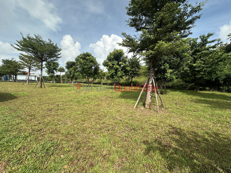 ĐẤT MẶT TIỀN NGUYỄN NHƯ ĐÃI – VỊ TRÍ KINH DOANH ĐẮC ĐỊA CHỈ 3,6 TỶ!, Việt Nam Bán, đ 3,6 tỷ