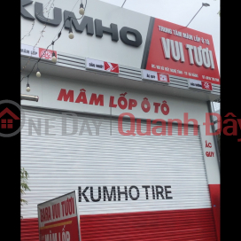 Vui Tuoi Car tire center,Hai Chau, Vietnam