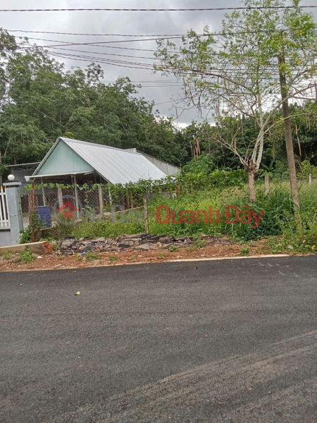 Property Search Vietnam | OneDay | Residential, Sales Listings PRIME LAND - GREAT PRICE, QUICK SALE! INVESTMENT PLOT WITH HIGH PROFIT POTENTIAL in Dau Tieng District, Binh Duong Province.