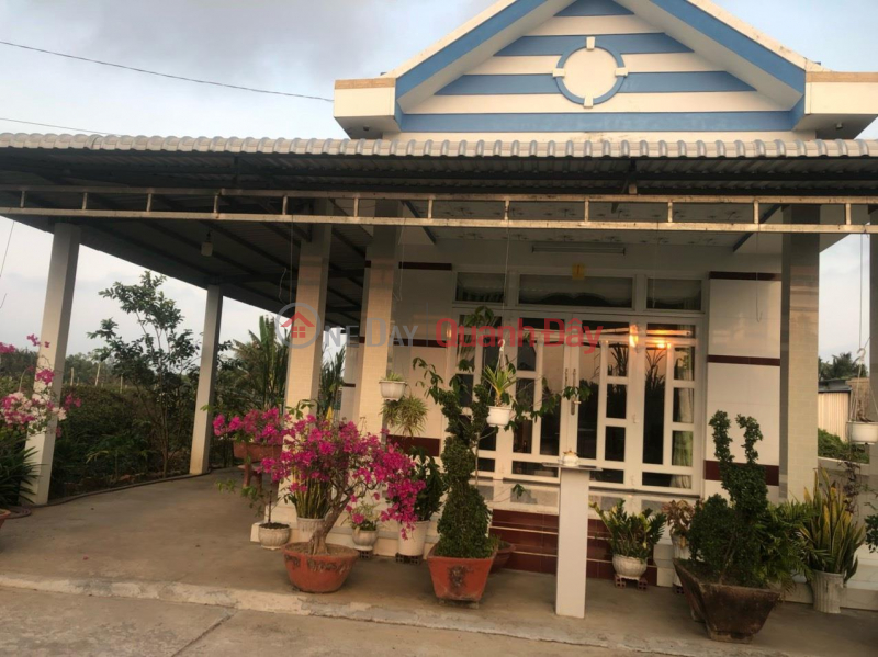 OWNER Urgently Needs To Sell Beautiful House Located In Thuan Hoa Commune, Cau Ngang District, Tra Vinh Sales Listings