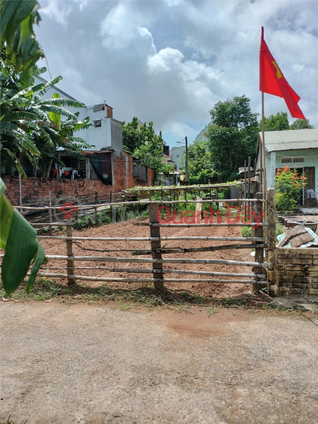 ONLY 2.5 BILLION - CORNER LOT WITH 2 STREET FRONTS - TON DAN STREET, CAM LE Sales Listings