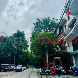 Selling Tam Trinh subdivided land 60m mt4m car, running football sidewalk business _0