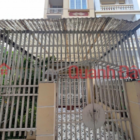House for sale in Luc Hanh - Trung Luc 91m 3 floors PRICE 2.75 billion, independent construction, private yard _0