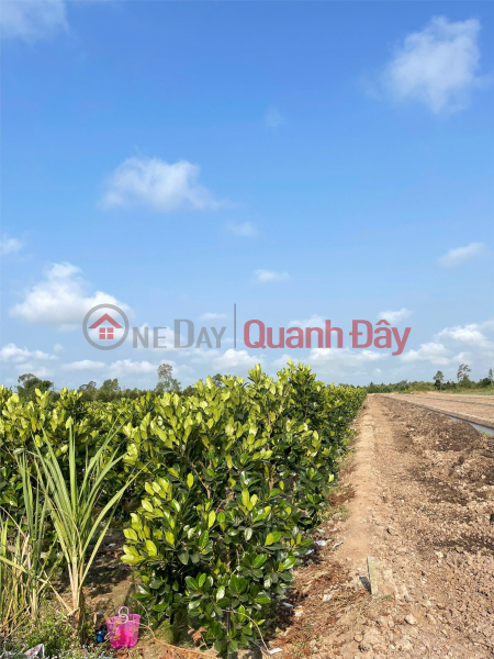  | Làm ơn chọn Nhà ở | Niêm yết bán đ 1,69 tỷ