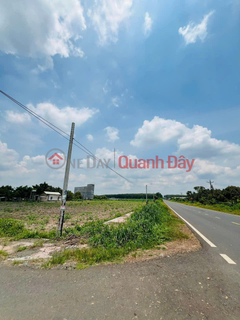 Need to sell quickly cheap land, main road 42m, 250 m2, only 390 million VND, Chon Thanh, Binh Phuoc _0