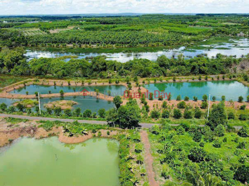 Land View of ecological lake 5x40 380 million \\/ residential floor Sales Listings