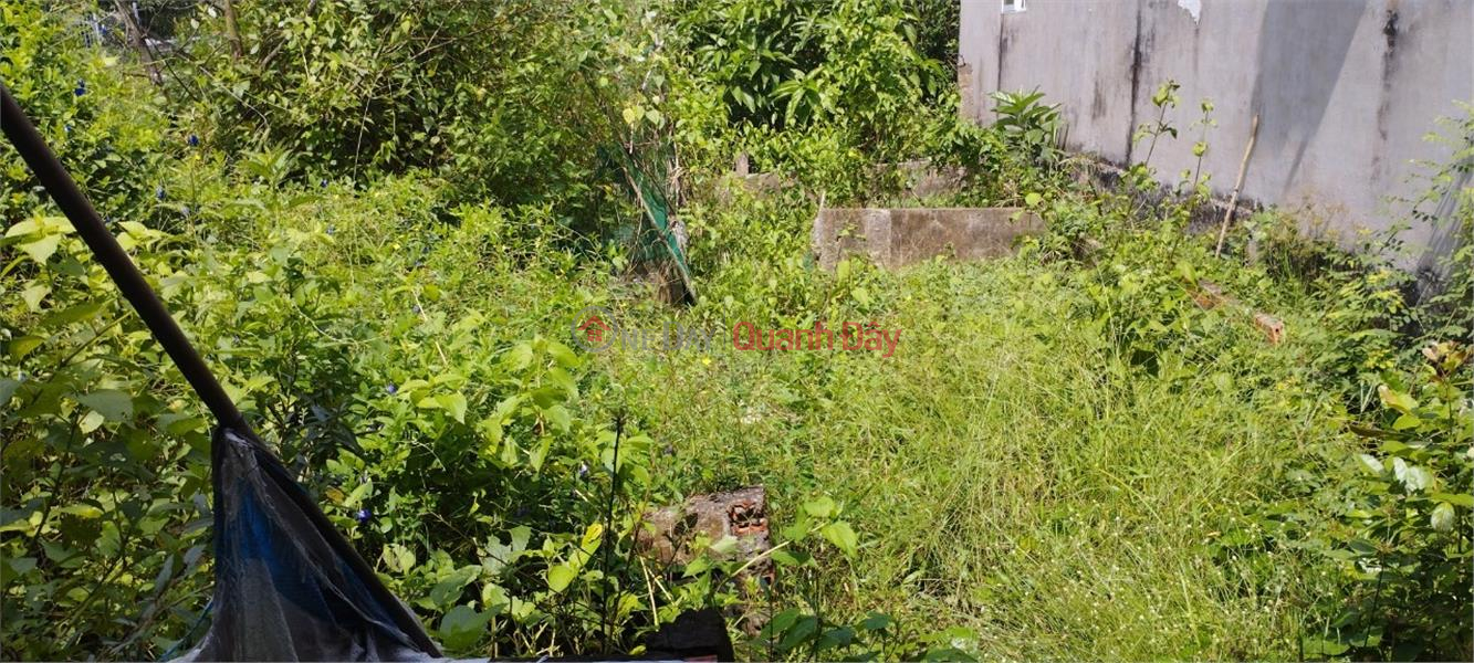 Property Search Vietnam | OneDay | Residential | Sales Listings, OWNER - For Sale Residential Land, Nice Location In Ke Sach Town, Ke Sach District, Soc Trang