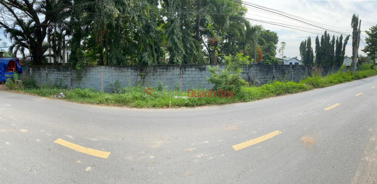 FOR SALE 5009 m2 Land for Production and Construction My Hanh Street, Duc Hoa, Long An | Vietnam | Sales | đ 30 Billion