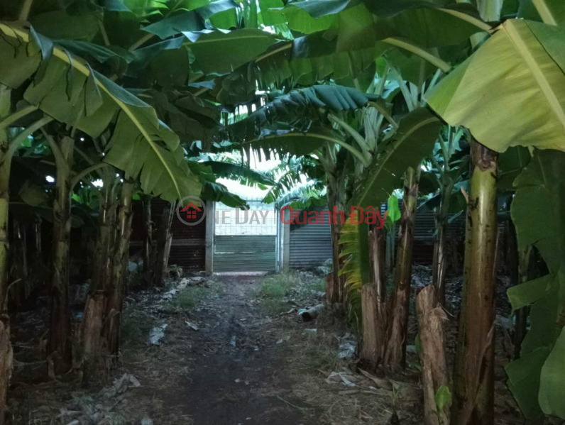 đ 3.83 Billion BEAUTIFUL LAND - GOOD PRICE - URGENT SALE Potential Land Lot In Tay Hoa Commune, Trang Bom District, Dong Nai