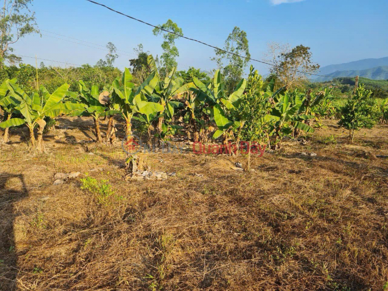 Property Search Vietnam | OneDay | Residential, Sales Listings Selling 2 beautiful and cheap plots of land from only 850 million in Khanh Nam, Khanh Vinh Location: