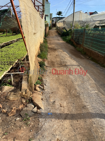 OWNER NEEDS TO SELL LOT OF LAND URGENTLY Beautiful Location In Duc Trong, Lam Dong Sales Listings