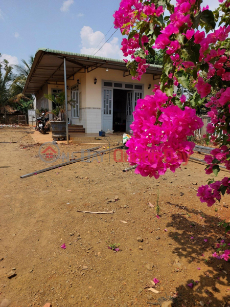 Property Search Vietnam | OneDay | Nhà ở | Niêm yết bán CHÍNH CHỦ Cần Bán Nhanh Căn Nhà Vị Trí Đẹp Tại Xã Đắk Gằn, Huyện Dăk Mil, Tỉnh Đắk Nông