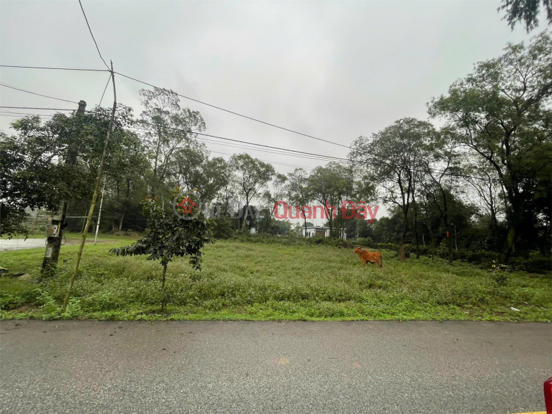 OWNER Needs to Sell 2 Beautiful Plots of Land on Giang Vien Linh Street and Tien Dien Town, Nghi Xuan District, Ha Tinh., Vietnam | Sales | đ 1.22 Billion