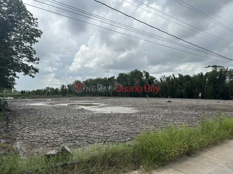 Property Search Vietnam | OneDay | Residential | Sales Listings | BEAUTIFUL LAND - GOOD PRICE - OWNER Fast Selling Land Lot In Luong The Tran Commune, Cai Nuoc, Ca Mau