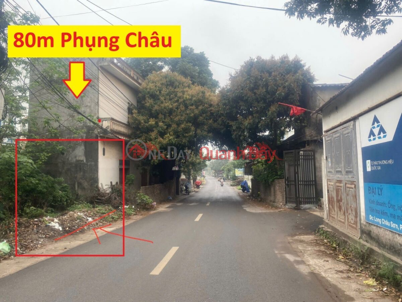 Property Search Vietnam | OneDay | Residential, Sales Listings | OWNER NEEDS TO SELL 80M2 BUSINESS LAND LOT IN PHUNG CHAU-CHUONG MY-HANOI