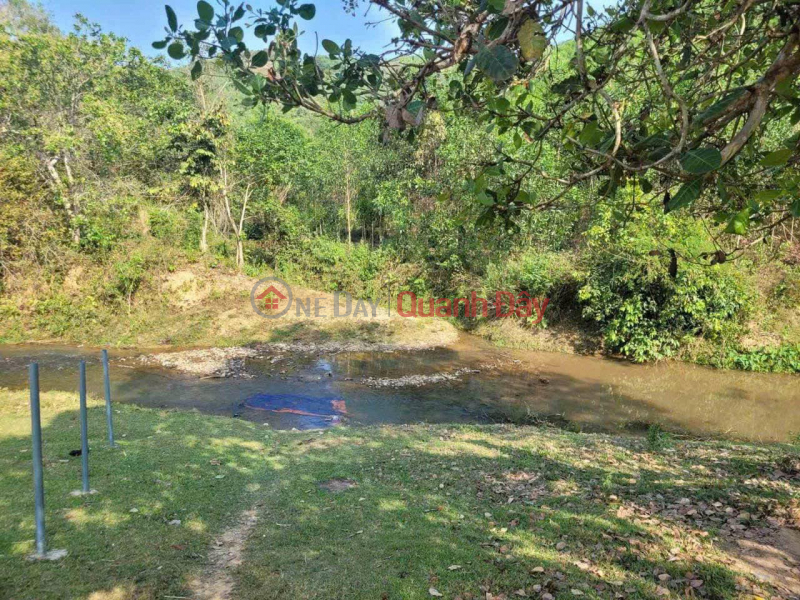 RESIDENTIAL LAND LOT FOR SALE IN DA BAN VILLAGE, CAU BA COMMUNE, KHANH VINH, KHANH HOA Vietnam, Sales, đ 330 Million