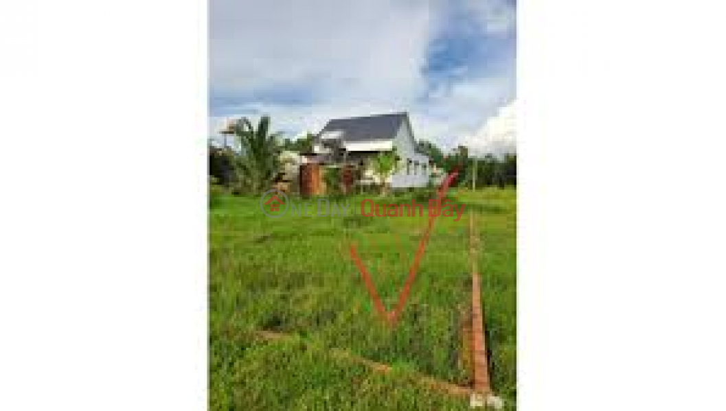 Property Search Vietnam | OneDay | Sales Listings, Urgent sale of garden land by owner at alley Duong Ky Hiep street, Ward 2, Soc Trang City, Soc Trang Province