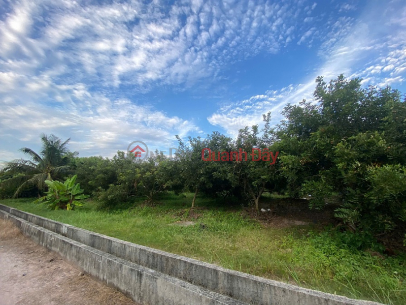 Property Search Vietnam | OneDay | Nhà ở | Niêm yết bán, ĐẦU TƯ SINH LỜI – CHÍNH CHỦ CẦN BÁN ĐẤT Tại Xã Trường Đông, thị xã Hòa Thành, tỉnh Tây Ninh