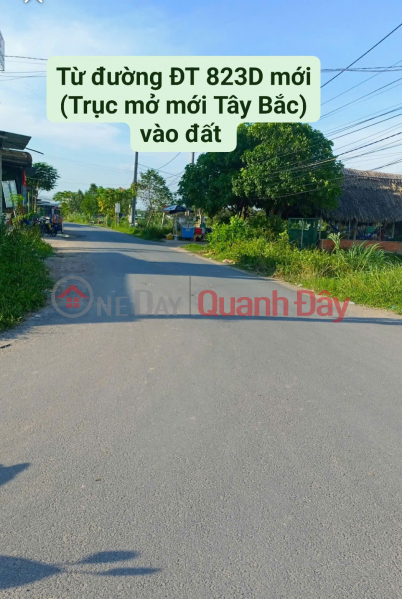 Property Search Vietnam | OneDay | Residential, Sales Listings | Owner selling beautiful residential land in Hoa Khanh Dong, Duc Hoa - Excellent price, high potential for price appreciation.