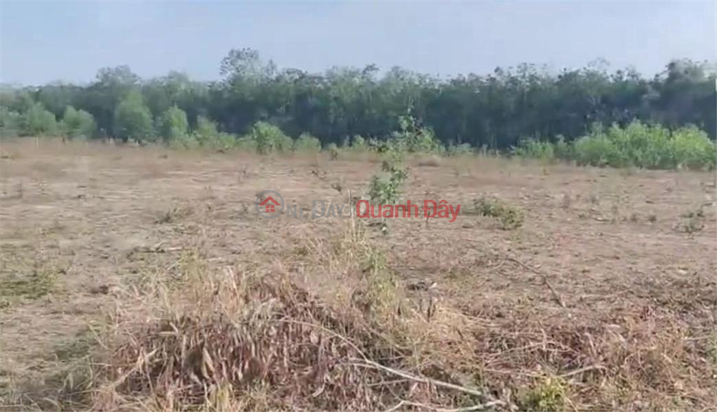 Property Search Vietnam | OneDay | Residential, Sales Listings | FOR QUICK SALE Beautiful 2 frontage LOT OF LAND Location In Dau Tieng district, Binh Duong province