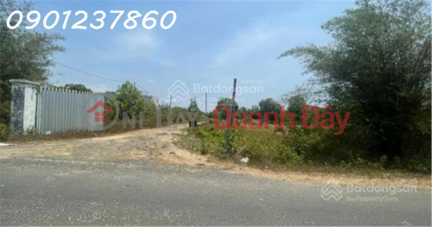 1.3-hectare plot of land in Binh Chau, priced at 45 billion VND, poised to benefit from the coastal road and Long Thanh airport development. _0