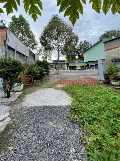 BEAUTIFUL LAND - GOOD PRICE - Land for Sale on Nguyen Trai Street Frontage, Tan Ninh Ward, Tay Ninh Province. _0