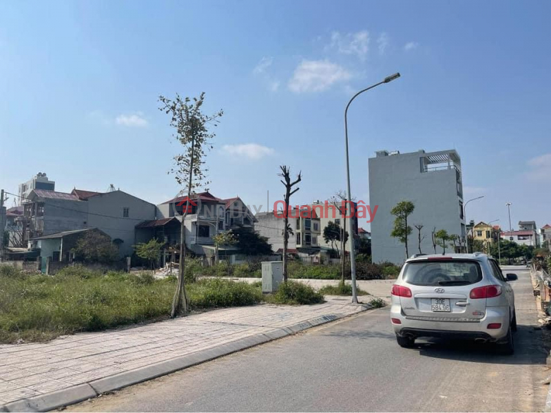Land for sale at Hau Oai auction, Uy No Dong Anh commune, top business street surface Sales Listings