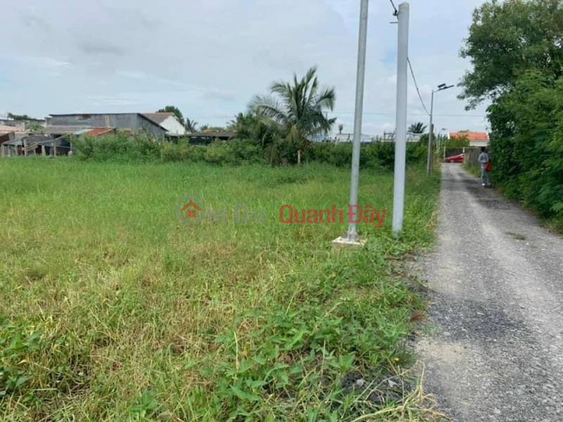 BEAUTIFUL LAND - GOOD PRICE - OWNER FOR SALE IN Binh Xuan Ward, Go Cong City, Vietnam, Sales | đ 620 Million