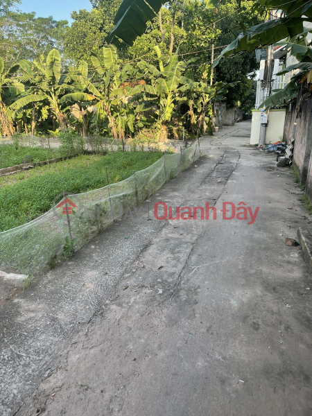 Property Search Vietnam | OneDay | Residential | Sales Listings | Cheap Sale 41.3m Land An Thang - Ha Dong Car Price 1.5 Billion