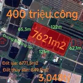 Urgent sale of rice land in Nhut Ninh commune for 400 million _0