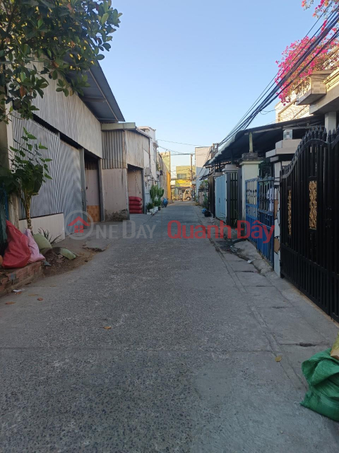 OWNERS For Sale 4 BEAUTIFUL HOUSES In Dai Phuoc Commune, Nhon Trach District, Dong Nai _0
