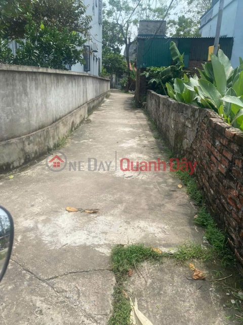 Owner Needs To Quickly Sell A Plot Of Land In Trang Cat, Kim An, Thanh Oai, Hanoi _0