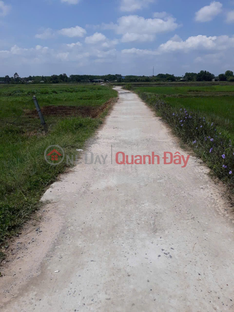 ĐẤT ĐẸP- GIÁ TỐT CHÍNH CHỦ BÁN NHANH LÔ ĐẤT TIỀM NĂNG TẠI huyện Củ Chi, TPHCM _0