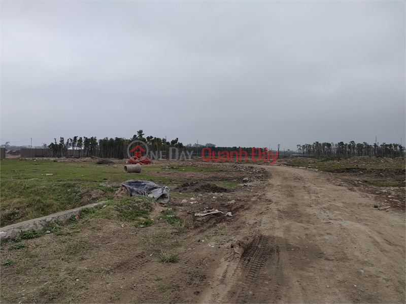 For sale 20,000m2 industrial land for 50 years in Hong An, Hung Ha, Thai Binh Sales Listings