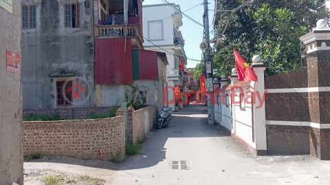 Land for sale in Thanh Khuong, Bac Ninh. 60m2 * frontage 4.5m * 2.95 billion. Corner lot, 7-seat car can enter the land. _0