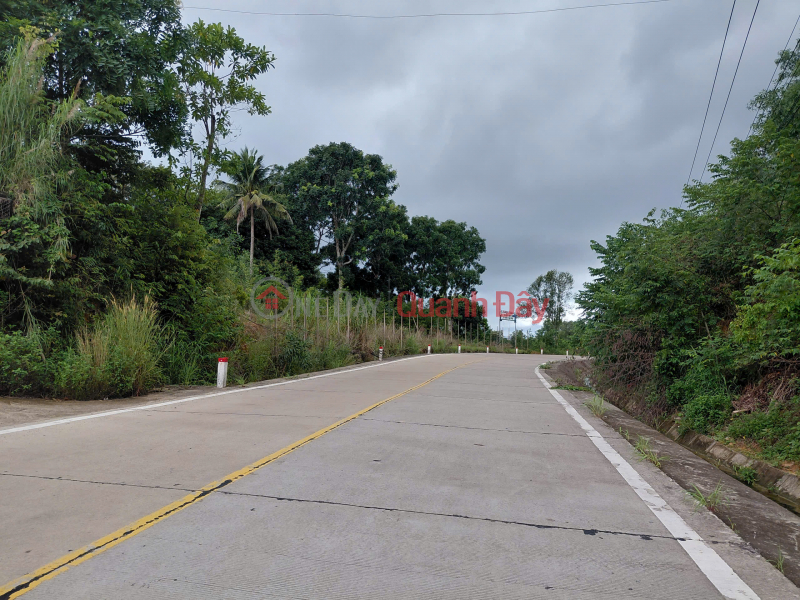 GREAT PRICE FOR INVESTORS - Opportunity to Own a Beautiful Plot of Land in a Prime Location in Phu Quoc, Kien Giang, Vietnam Sales, đ 11.54 Billion
