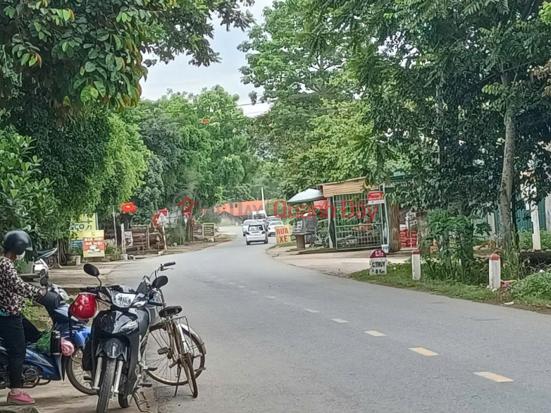 HOT HOT – CHÍNH CHỦ CẦN BÁN ĐẤT MẶT TIỀN QL.217, X. Cẩm Ngọc, H. Cẩm Thủy, T. Thanh Hóa, Việt Nam, Bán | đ 900 triệu