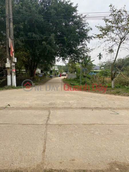 RARE LAND PLOT FOR SALE - 293M² LOCATED 500M FROM THE HO CHI MINH CITY HIGHWAY – Vai Village, Lac Thuy District, Hoa Binh Province Sales Listings