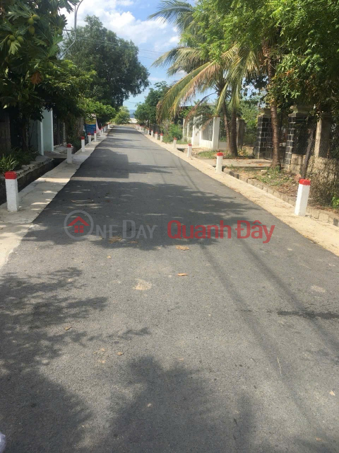 PRIME LAND - GREAT PRICE - URGENT SALE OF A POTENTIAL LAND PLOT IN CAM PHUOC TAY COMMUNE, CAM LAM DISTRICT, KHANH HOA PROVINCE _0