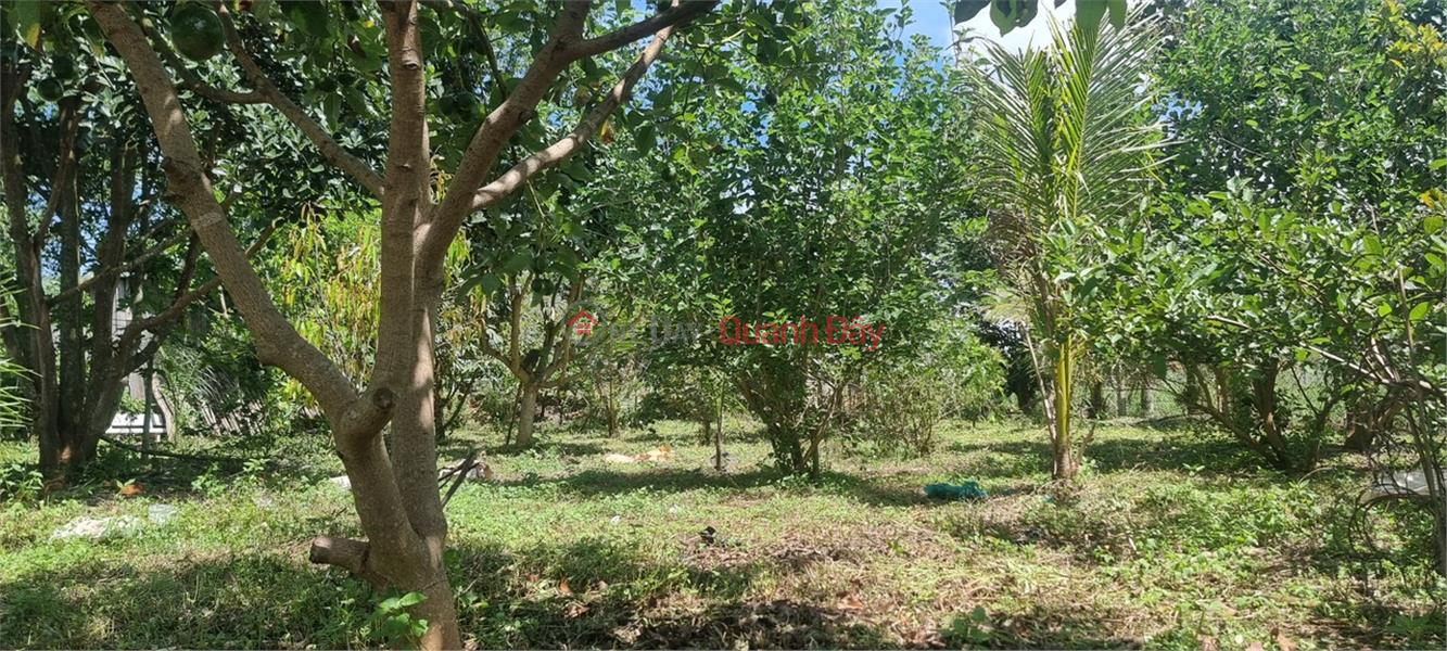 BEAUTIFUL LAND - GOOD PRICE - Owner Needs to Sell Land Lot in Phu Hoi Commune, Duc Trong District, Lam Dong Province Vietnam Sales | đ 20 Billion