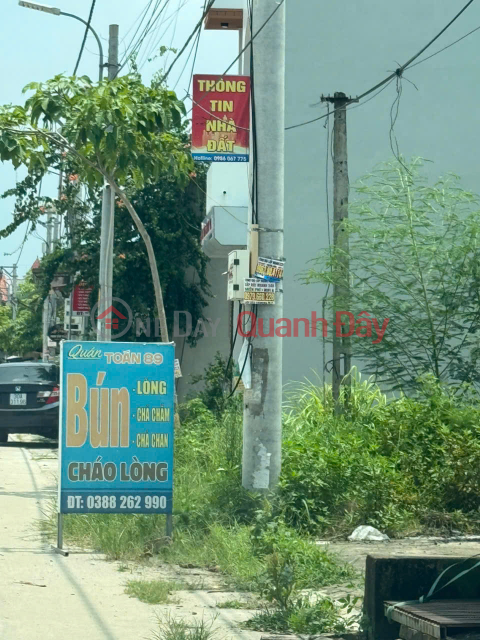Đất đẹp thôn Ấp Tre, xã Quang Minh, Mê Linh. Ba bước chân tới cổng trường Y Dược Tuệ Tĩnh _0