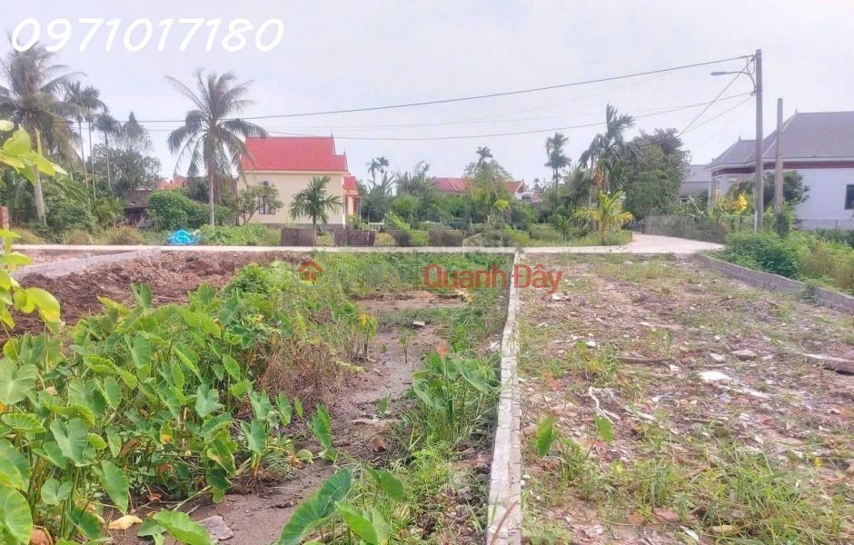 CHÍNH CHỦ BÁN – LÔ ĐẤT GIÁ RẺ GẦN BIỂN – HỢP ĐỨC, ĐỒ SƠN, HẢI PHÒNG | Việt Nam | Bán đ 1,35 tỷ