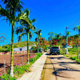 725TR - Anticipating the highway interchange - Residential land near Da Lat is now only a matter of days away. _0