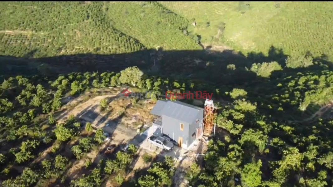 Beautiful Land - Good Price - Owner Needs to Sell a Lot of Land in a Beautiful Location in Ninh Gia, Duc Trong, Lam Dong Sales Listings