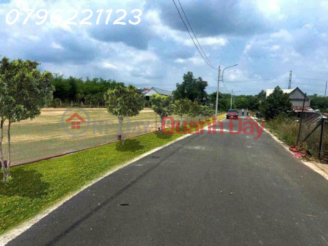Bán đất tại đường Lò Rèn, Long Hòa, 5tr/m2, 4300m2, view đẹp, nhiều tiện ích _0